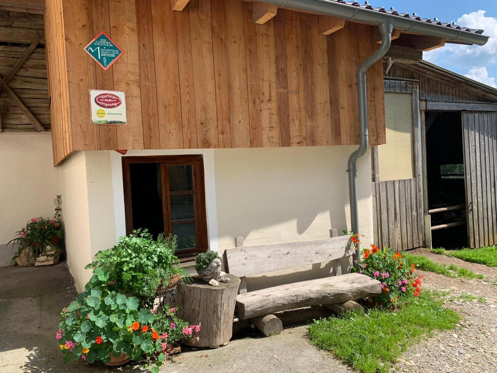 Neumarkt in Steiermark Biohof Goellyヴィラ エクステリア 写真