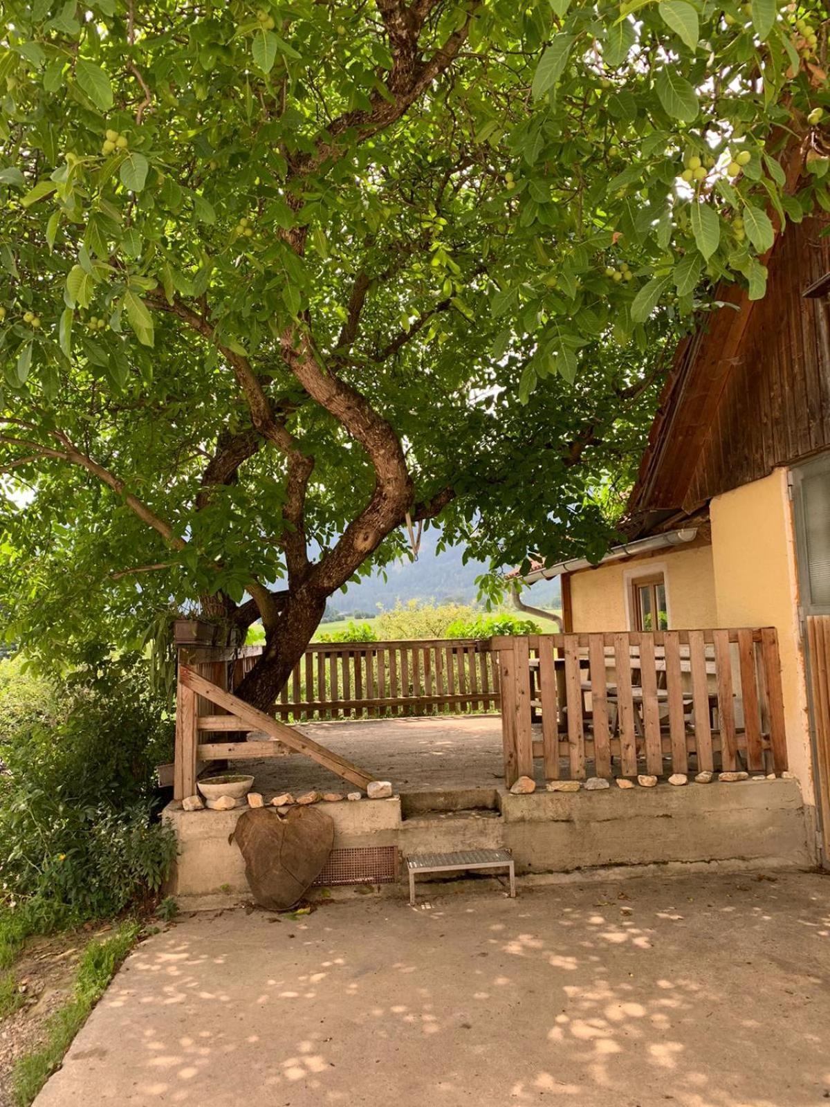 Neumarkt in Steiermark Biohof Goellyヴィラ エクステリア 写真