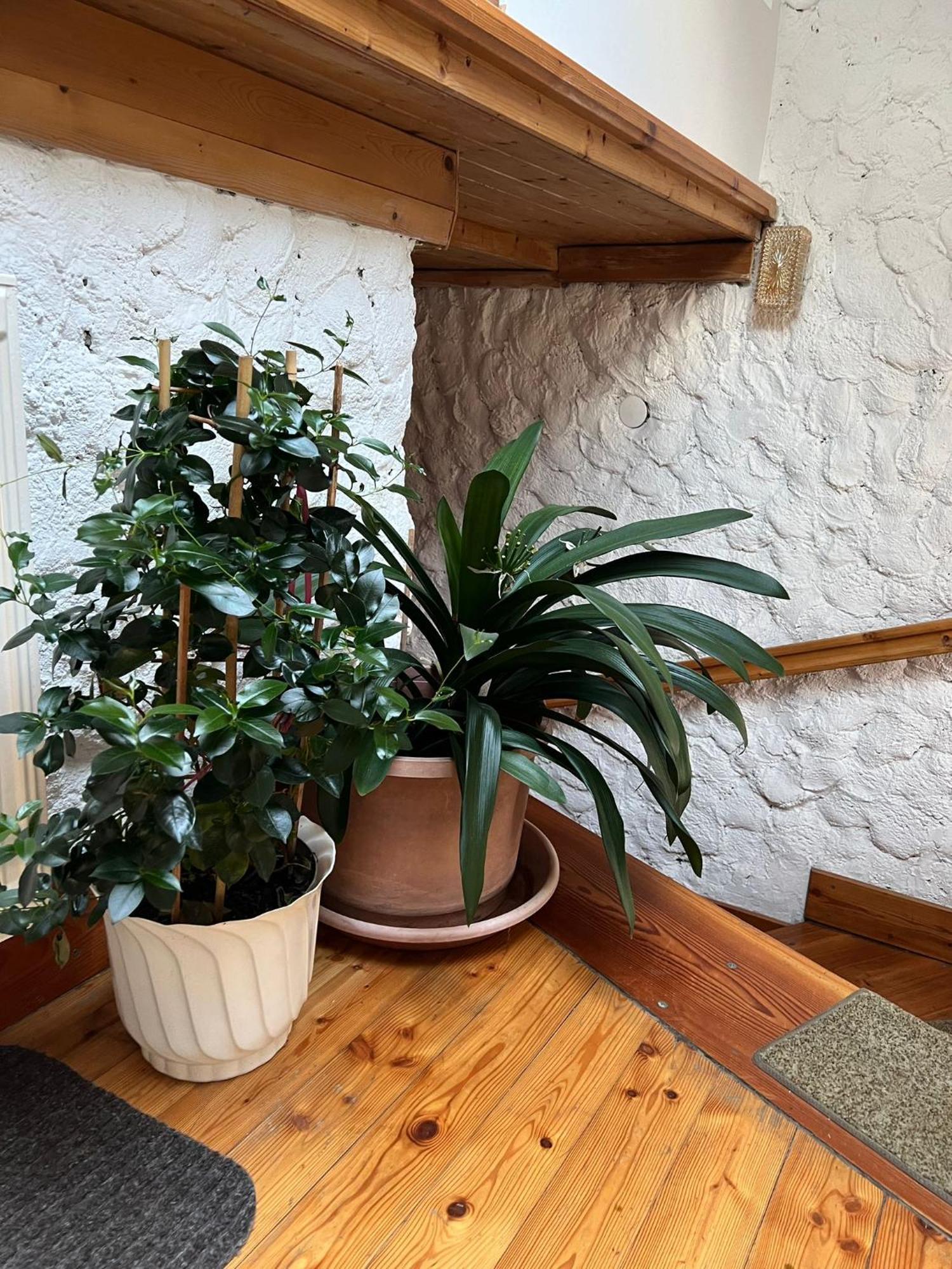Neumarkt in Steiermark Biohof Goellyヴィラ エクステリア 写真