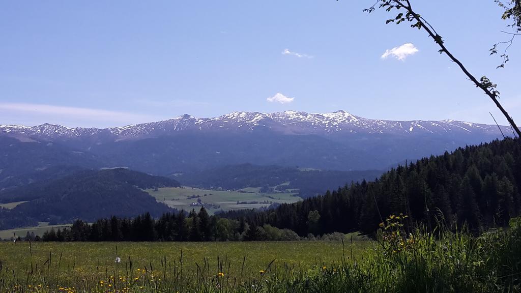 Neumarkt in Steiermark Biohof Goellyヴィラ エクステリア 写真