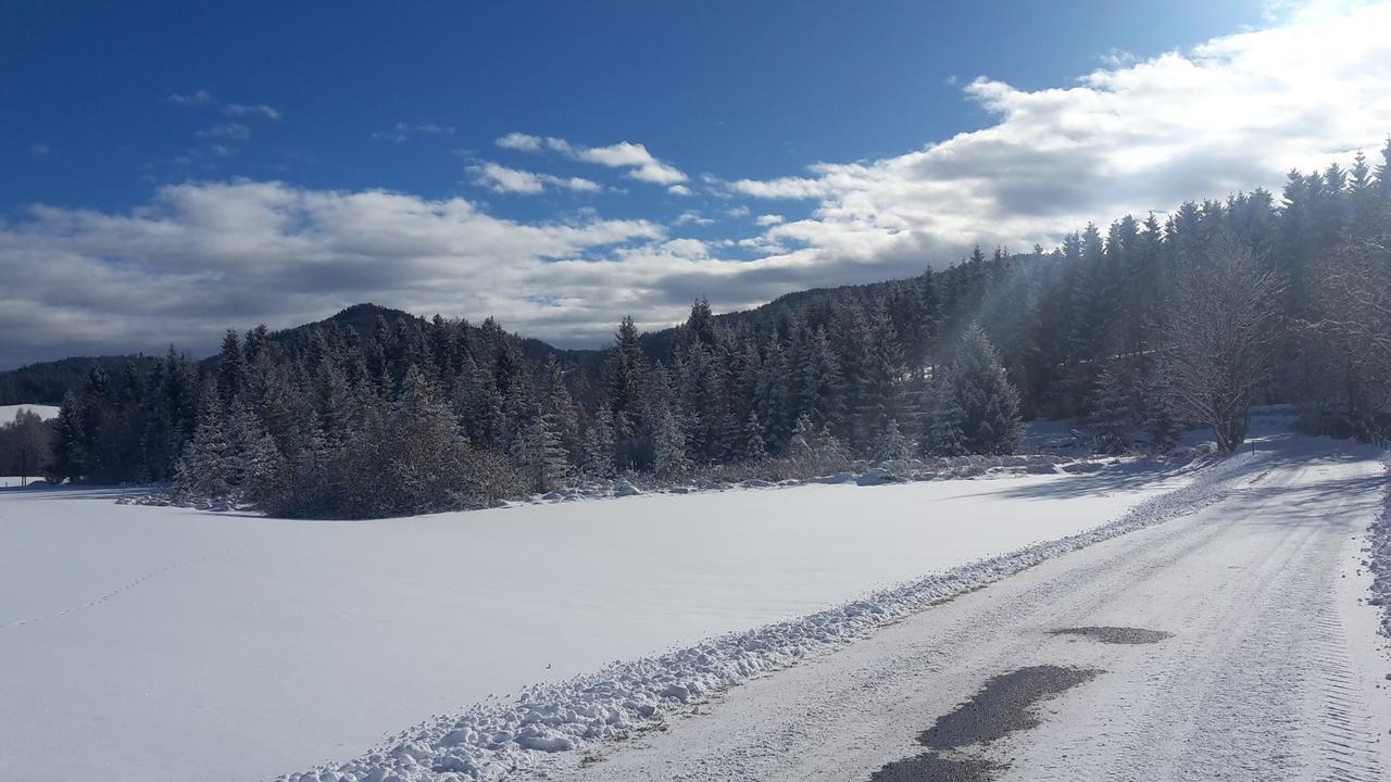 Neumarkt in Steiermark Biohof Goellyヴィラ エクステリア 写真